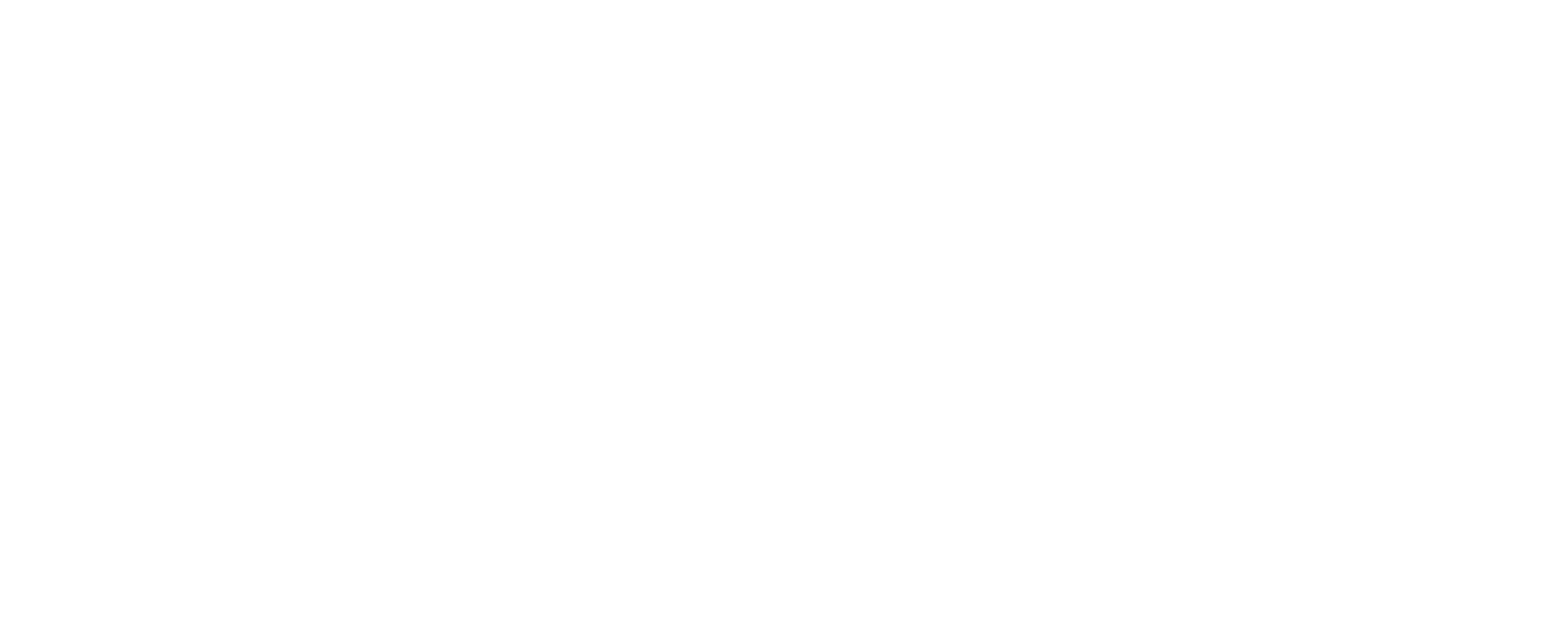 Universidad Americana